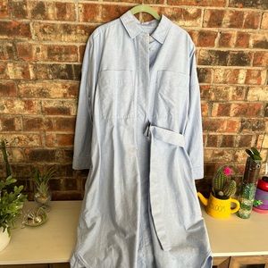 Everlane blue belted cotton shirt dress